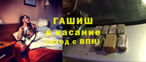 хмурый Алексин